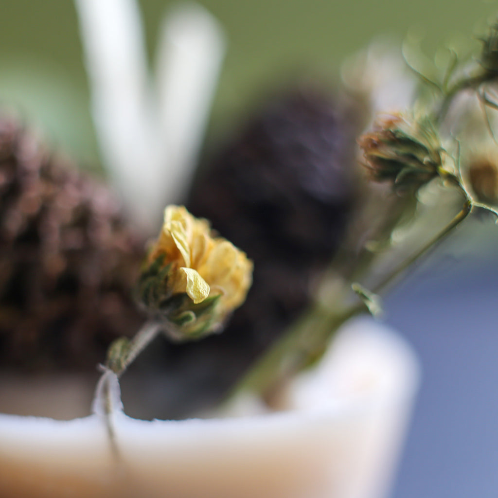 Box of 6 Firelighters