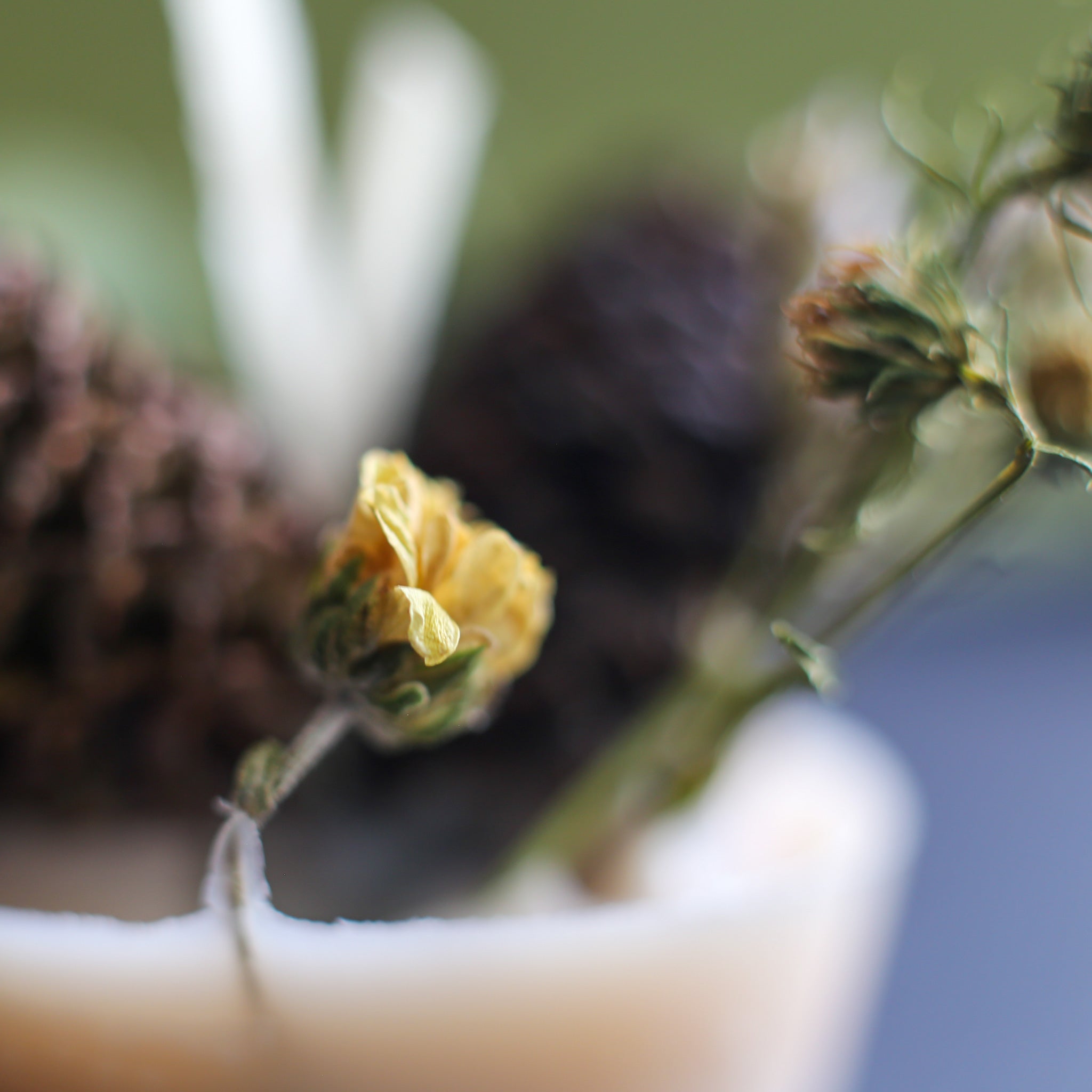 Box of 6 Firelighters